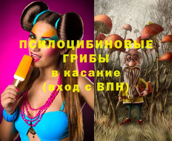 дживик Абаза