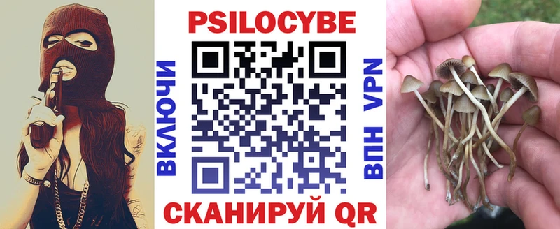 МЕГА вход  Шебекино  Псилоцибиновые грибы прущие грибы 